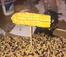 [Joe Klancher Ear of Corn image]